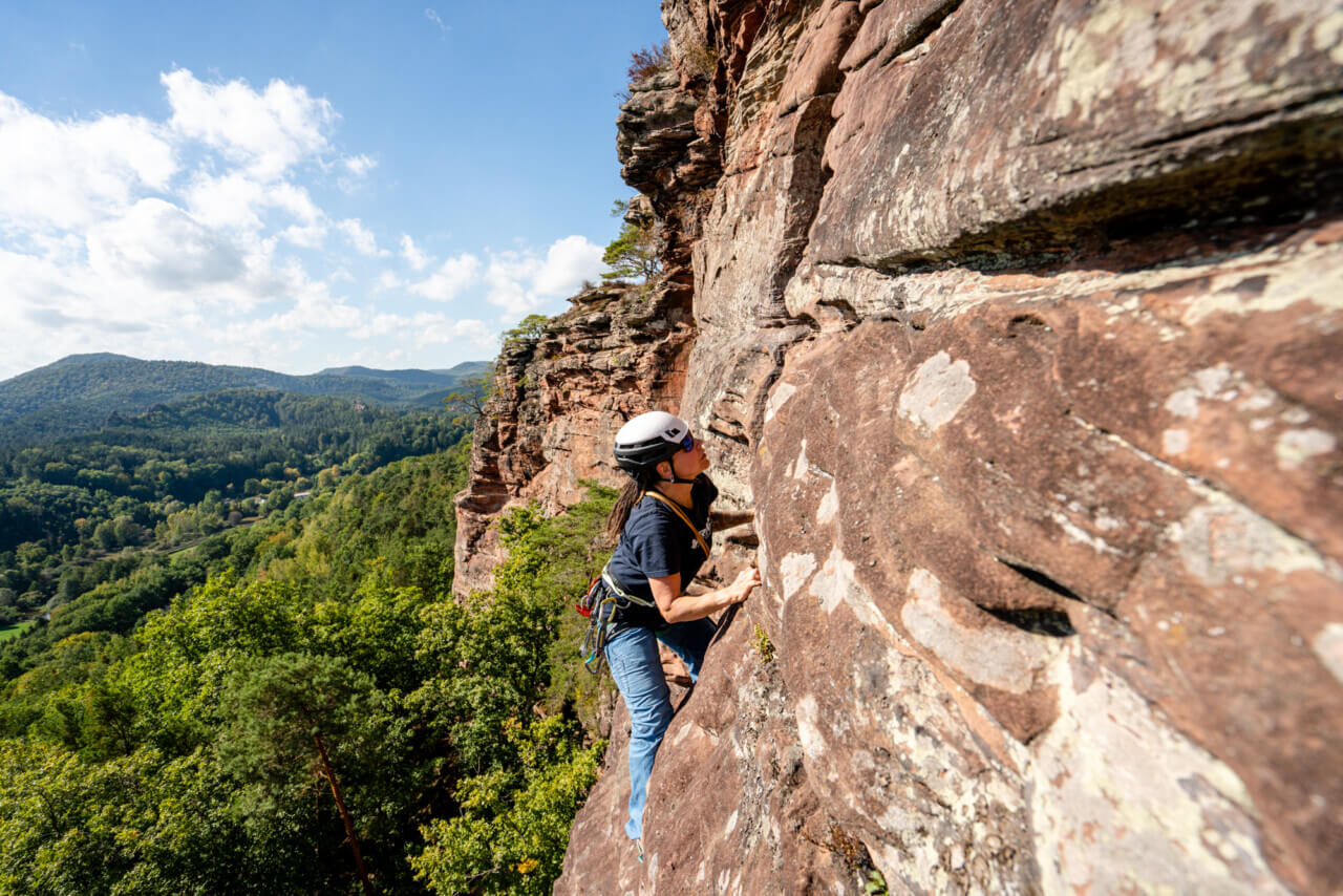 Climbing sasa