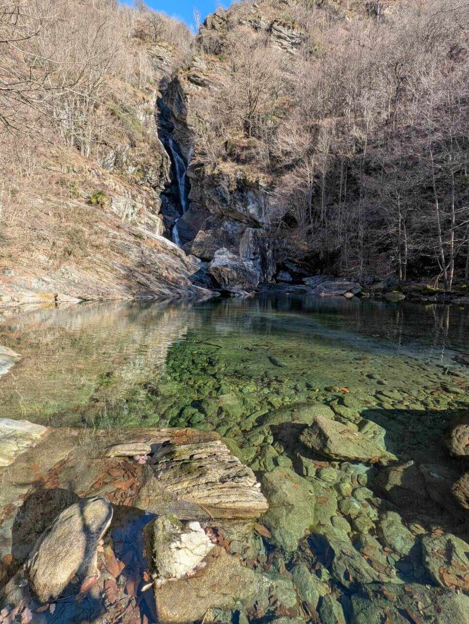 Forest lake