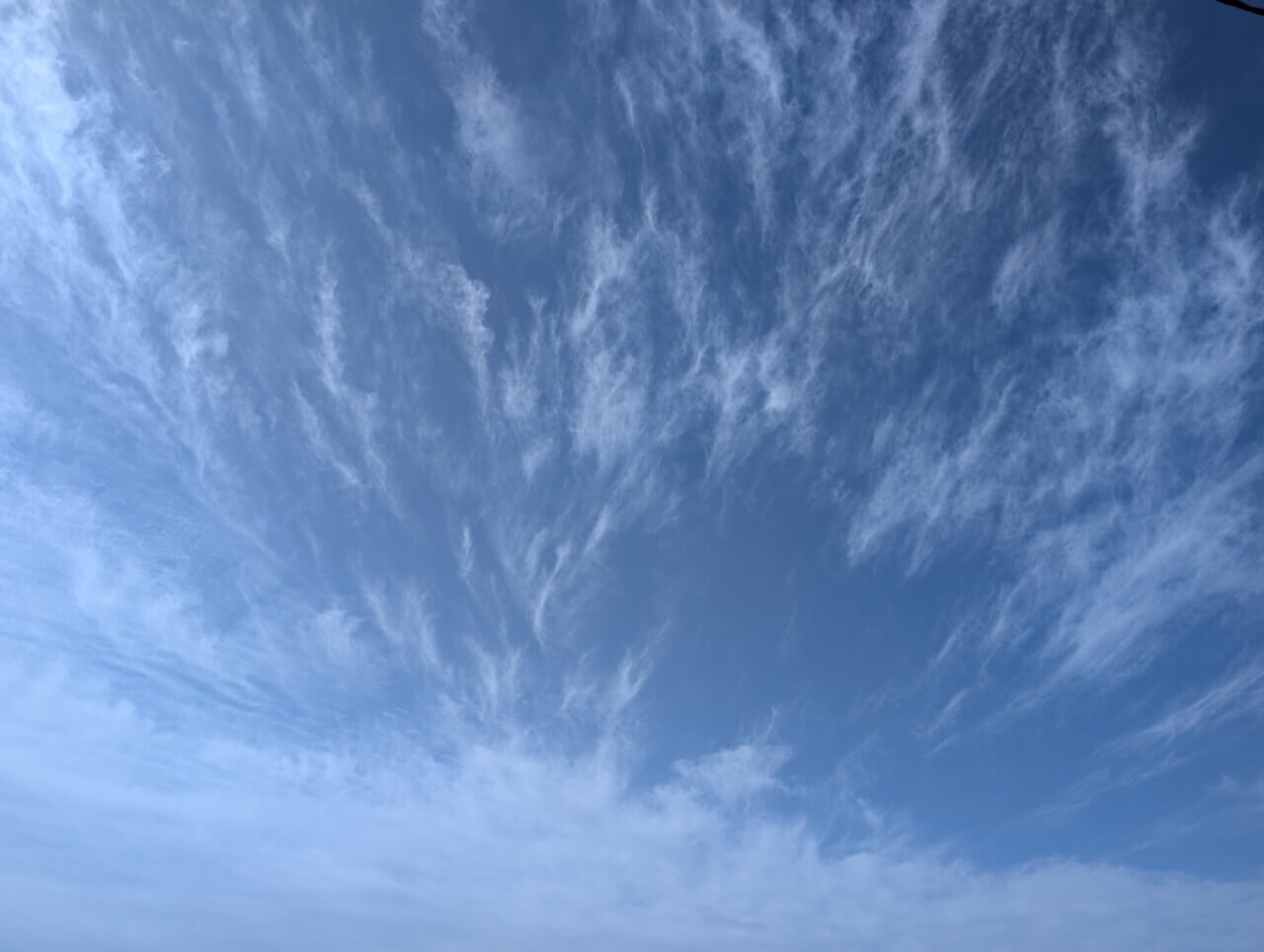 Full sky